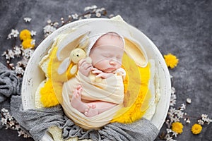 Newborn baby in a yellow cocoon and a white bunny hat sleeps in a white wooden bowl decorated with spring yellow flowers