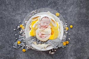 Newborn baby in a yellow cocoon and a white bunny hat sleeps in a white wooden bowl decorated with spring yellow flowers