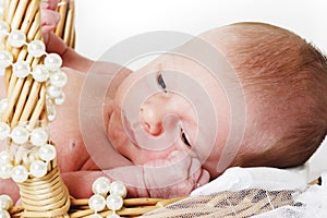 Newborn in the basket