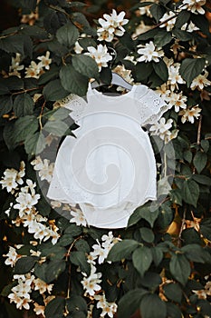 Newborn bay dress hanging in the jasmine flowers