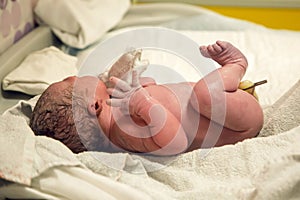 Newborn after birth with umbilical cord lies