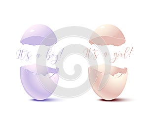 Newborn card elements. Vector pink eggshell with It`s a Girl text and blue eggshell with It`s a Boy text.