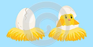 Newborn chick. Cartoon egg and hatched chick with eggshell on head in the nest vector illustration