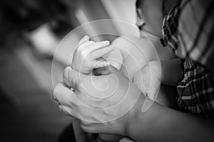 Newborn children's hand in mother hand. Black-and-white photo.