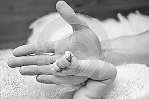 Newborn children`s hand in mother hand. Mom and her Child. Happy Family concept. Beautiful conceptual image of Maternity