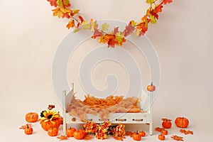 Newborn digital autumn background with pumpkins. Fall.