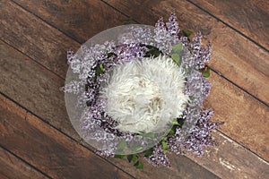 Newborn digital backdrop. Wreath of lilac flowers. Furs.