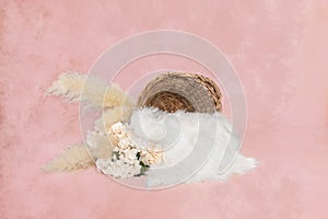 Newborn digital background with bohemian ratan basket, large pampas, hydrangea