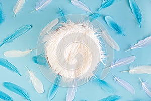 Newborn digital background with fur and feathers on blue backdrop