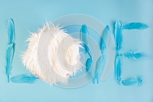 Newborn digital background with fur and feathers on blue backdrop