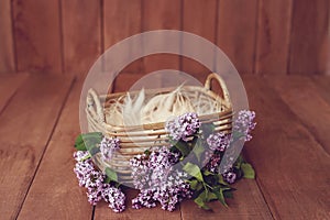 Newborn Digital Background Spring lilac Basket Prop for Newborn