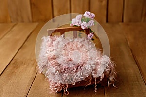 Newborn Digital Background Spring rose Basket Prop for Newborn