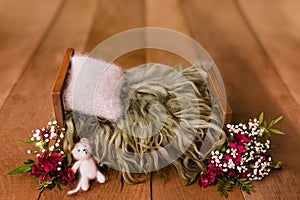 Newborn Digital Background Spring rose Basket Prop for Newborn