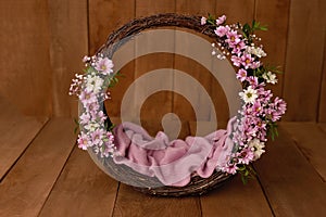 Newborn Digital Background Spring rose Basket Prop for Newborn photo