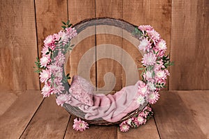Newborn Digital Background Spring rose Basket Prop for Newborn