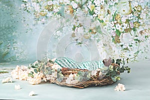 Newborn digital photography background floral and nest basket