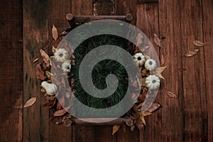 Newborn fall background - dark wooden bed with autumn leaves decor, white and cream pumpkins on orange and brown backdrop photo