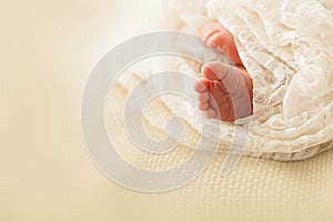 Newborn feet wrapped in a Lacy white blanket on a beige background