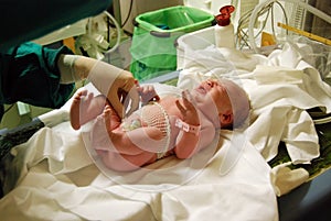 Newborn: first inspection