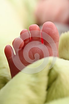 Newborn Foot