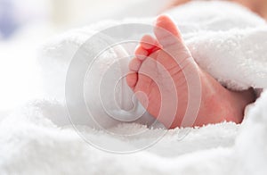 Newborn foot& x27;s first bath peek from beneath soft white towel