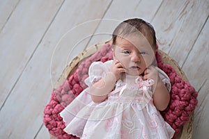 Newborn Girl Lying in Wooden Bowl