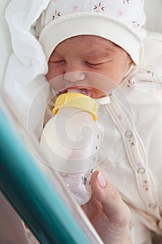 Newborn girl in the maternity hospital