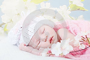 Newborn girl sleeps with spring flowers photo