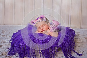 Newborn girl sweetly sleeps on photosession