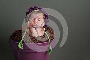 Newborn Girl Wearing a Flower Bonnet