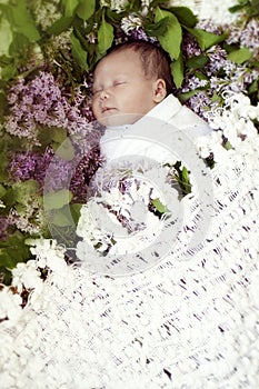 Newborn girl wrapped in white, sleeping peacefully among the flo