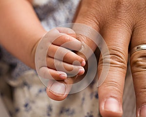 Newborn hand
