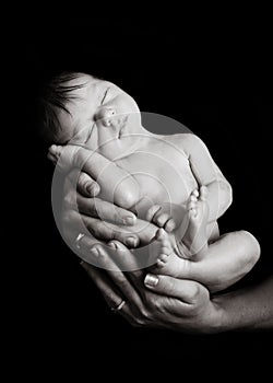 Newborn Hands