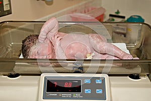 Newborn hospital weigh scale