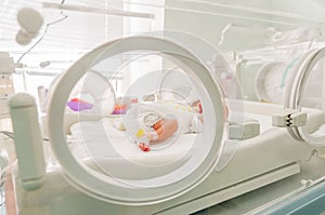 Newborn innocent baby sleeping in an incubator