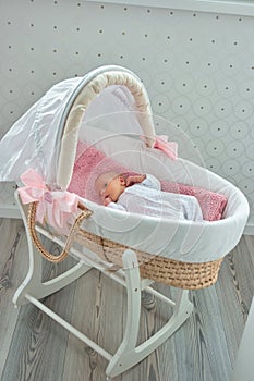 Newborn little baby in moses basket.