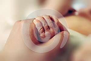 Newborn little hand hold by adult hand