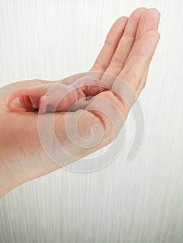 A newborn mouse lies on a human hand. Decorative bald rodent closeup