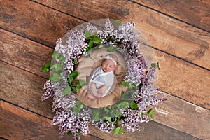 Newborn photography digital backdrop. Lilac wreath.
