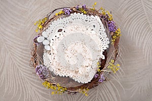 Newborn Photography Digital Background with a twig nest, crochet filler and eggs.