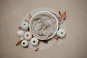 Newborn photography fall backgrund - white bowl with white and cream pumpkins, dry brown leaves on beige backdrop photo
