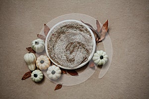 Newborn photography fall backgrund - white bowl with white and cream pumpkins, dry brown leaves on beige backdrop