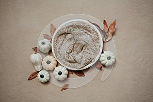 Newborn photography fall backgrund - white bowl with white and cream pumpkins, dry brown leaves on beige backdrop