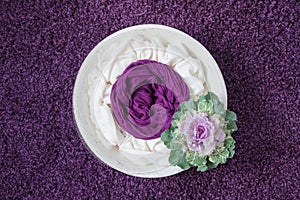 Newborn photography props white wooden bowl with decorative cabbage on a purple background