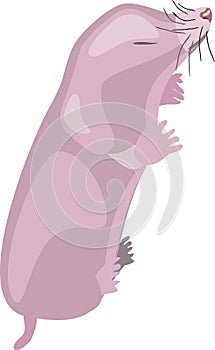 Newborn pink cartoon mole isolated on white