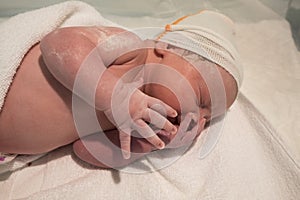 newborn in the postpartum crib still covered in vernix caseosa and with the baby hat for the first time