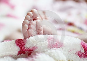 NewbornÃÂ´s feet photo