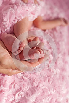 Newborn`s feet in mother`s hand