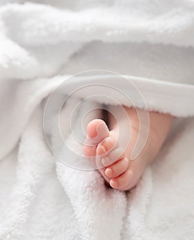 Newborn& x27;s tiny foot: peeking beneath a soft white towel