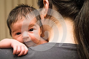 Newborn on shoulder